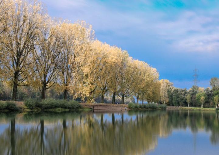 Rheinstrandbad Rappenwort Becker